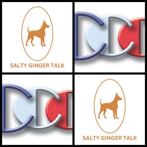 SaltyGingerTalkInterviewguestexpertRichardBlankCostaRicasCallCenter..jpg