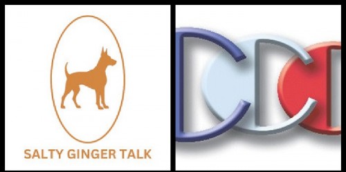 SaltyGingerTalkInterviewsalesguestRichardBlankCostaRicasCallCenter..jpg