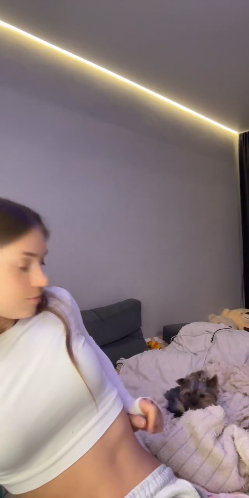 videoframe_1890389.png
