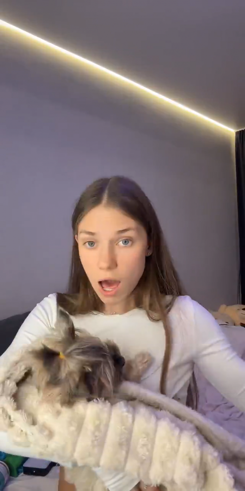 videoframe_1932218.png