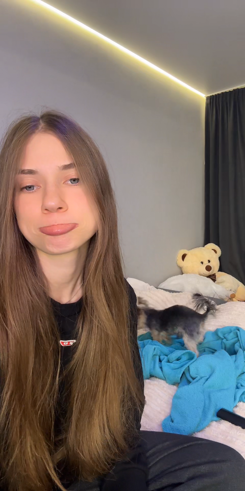 videoframe_2103124.png