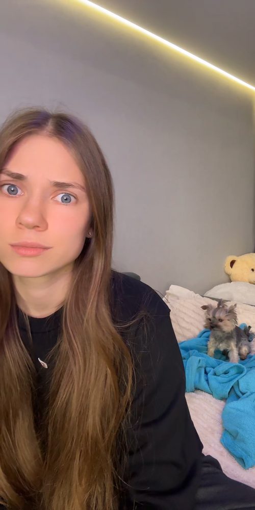 videoframe_2199958.png