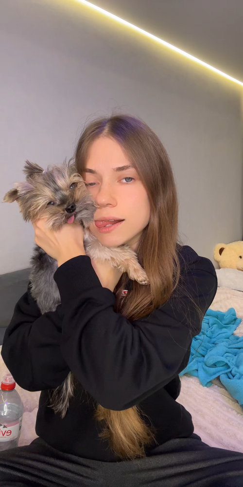 videoframe_2260752.png