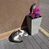 20260626_154016