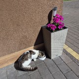 20260626_154017
