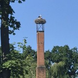 20260626_155958