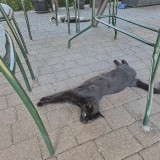 20260626_160728