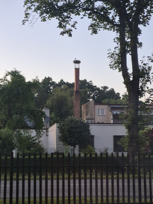 20260626_213219.jpg