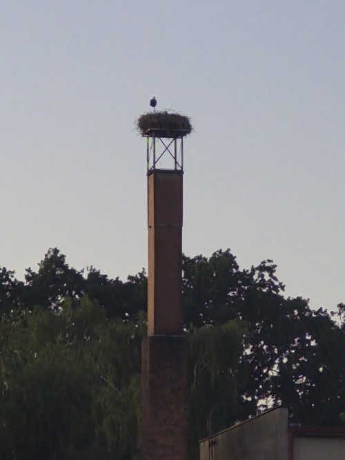 20260626_213226.jpg