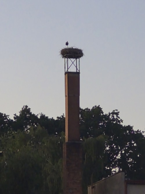 20260626_213229.jpg