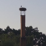 20260626_213229