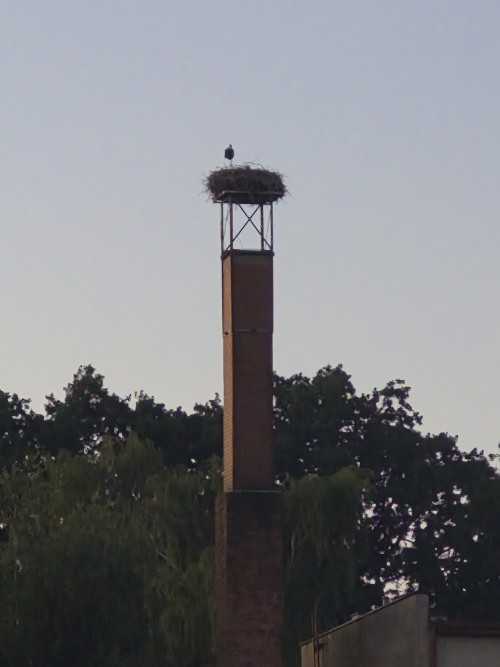 20260626_213230.jpg