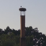 20260626_213230