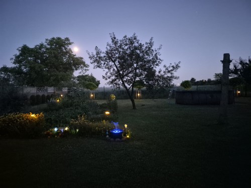 20260626_220549.jpg