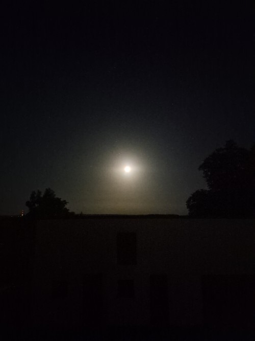20260626_231401.jpg