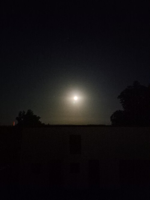20260626_231404.jpg
