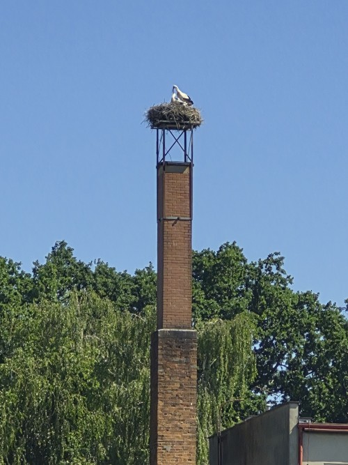 20260627_102625.jpg