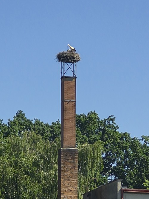 20260627_102628.jpg
