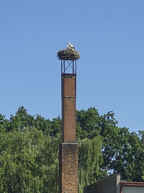 20260627_102631.jpg
