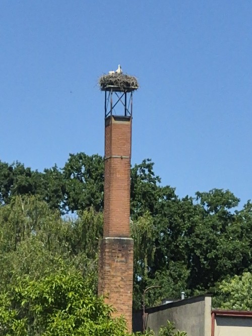 20260627_140757.jpg