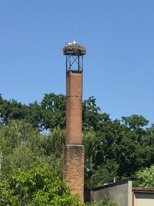 20260627_140758.jpg