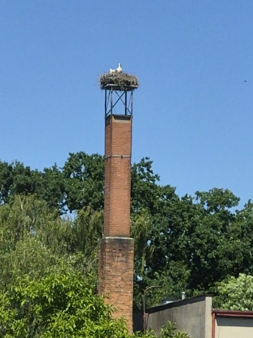 20260627_140759.jpg