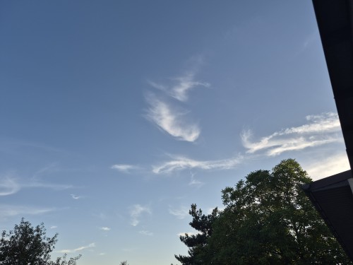 20260627_202356.jpg