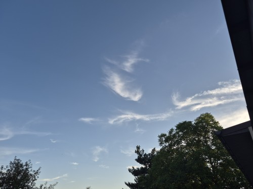 20260627_2023560.jpg