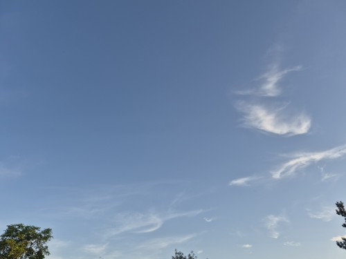 20260627_2024000.jpg