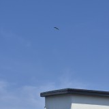 20260628_103051