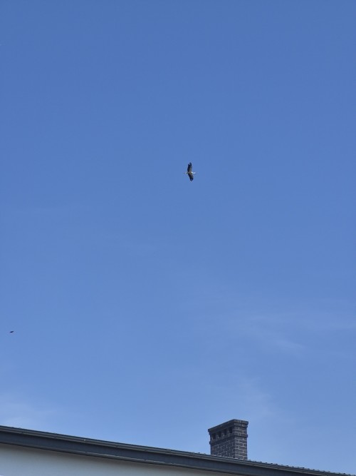20260628_103052.jpg