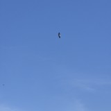 20260628_103052