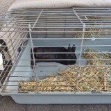 20260628_155414