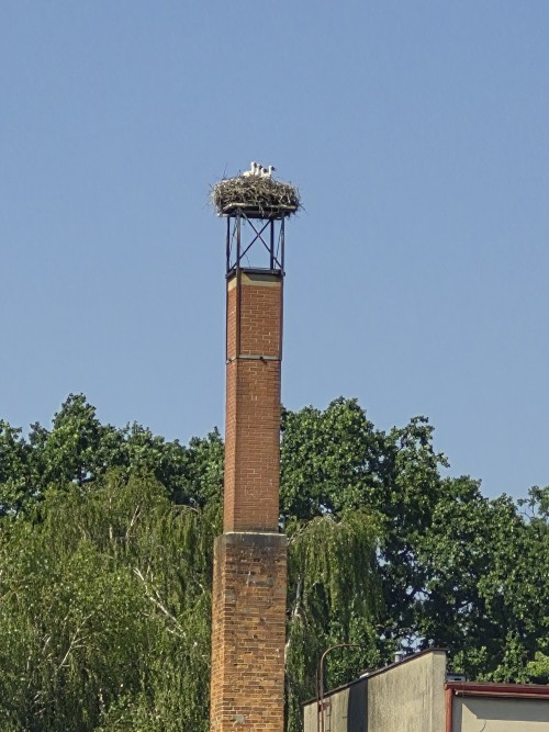 20260628_162056.jpg