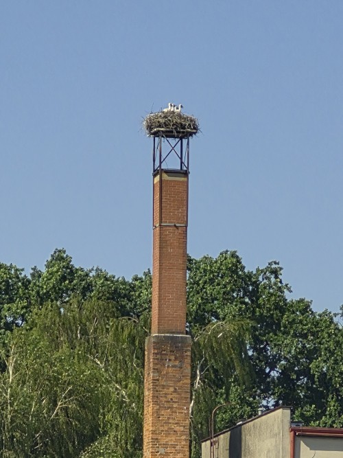20260628_162102.jpg