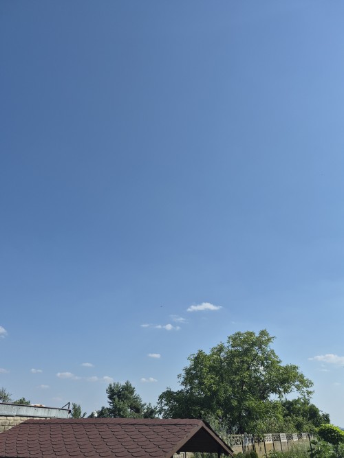 20260628_162811.jpg