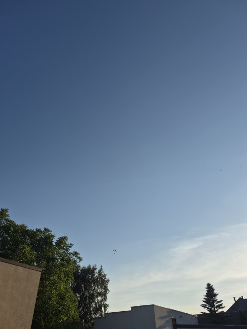 20260628_194416.jpg