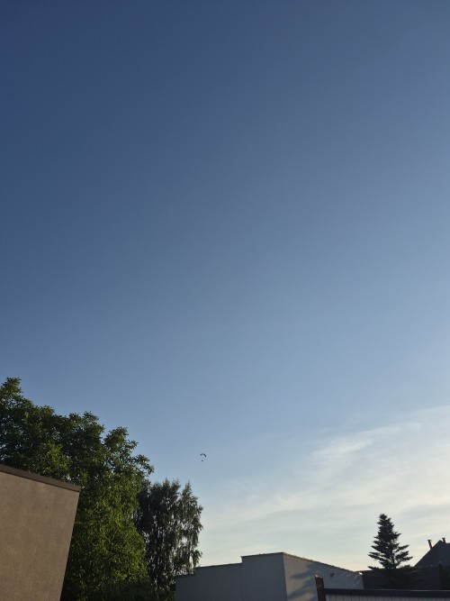20260628_1944160.jpg