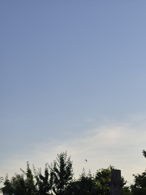 20260628_194628.jpg