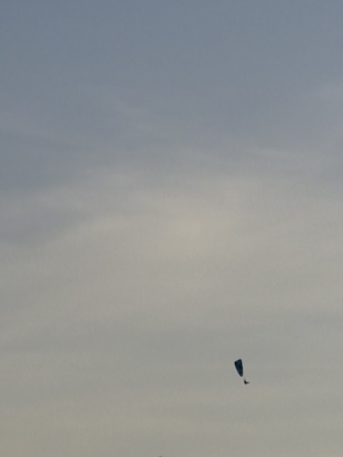 20260628_194633.jpg
