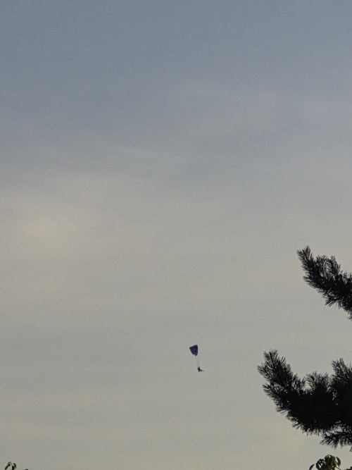 20260628_194635.jpg