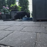 20260628_210213