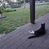 20260628_211206
