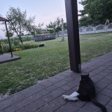 20260628_211451