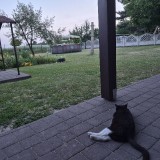 20260628_211453