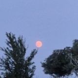 20260628_211931