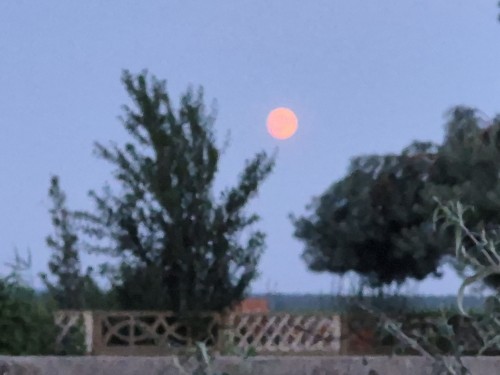 20260628_211950.jpg