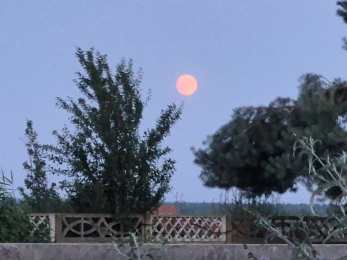 20260628_211953.jpg
