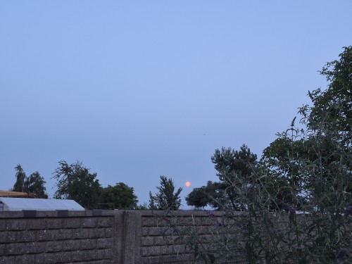 20260628_212227.jpg