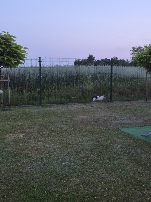20260628_212306.jpg